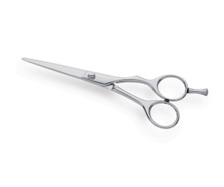 Professional Hair Cutting Scissors 